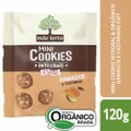 COOKIES ORG DIET DAMASCO MÃE TERRA 120G