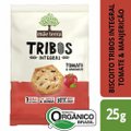 SNACK ORGÂNICO TRIBOS TOMATE MANJERICÃO MÃE TERRA