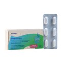 PROBIÓTICO PANVEL 12 CÁPSULAS