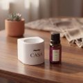 ESSENCIA FIGO 14ML PANVEL CASA