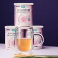 SUPLEMENTO ALIMENTAR EQUALIV MAGNÉSIO INOSITOL RELAX 408G