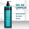 GEL DE LIMPEZA FACIAL PRINCIPIA GL-01 500G