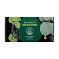 KIT SABONETE EM BARRA PALMOLIVE NATURALS SENSAÇÃO PURIFICANTE 6 UNIDADES DE 85G PROMO