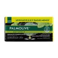 KIT SABONETE EM BARRA PALMOLIVE NATURALS SENSAÇÃO PURIFICANTE 6 UNIDADES DE 85G PROMO