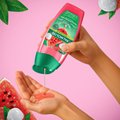 SABONETE LÍQUIDO CORPORAL PALMOLIVE NATURALS HIDRATAÇÃO REFRESCANTE MELANCIA E LICHIA 250ML