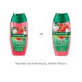 SABONETE LÍQUIDO CORPORAL PALMOLIVE NATURALS HIDRATAÇÃO REFRESCANTE MELANCIA E LICHIA 250ML