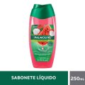 SABONETE LÍQUIDO CORPORAL PALMOLIVE NATURALS HIDRATAÇÃO REFRESCANTE MELANCIA E LICHIA 250ML