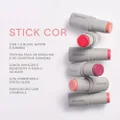 STICK COR BOCA ROSA BEAUTY SALVAMOR 6G