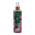 Kit Panvel Óleo Corporal Bifásico Ameixa Vert 200Ml + Loção Hidratante Corporal190G + Body Splash Desodorante Corporal 200Ml