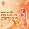 CONDICIONADOR SEDA COLÁGENO VITAMINA C 250ML