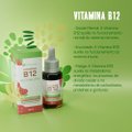 SUPLEMENTO ALIMENTAR VITAMINA B12 BIOROOTS GOTAS 20ML