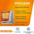 SUPLEMENTO ALIMENTAR PSYLLIUM PANVEL VITA SACHÊ 10 UNIDADES DE 8G CADA