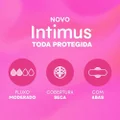 ABSORVENTE EXTERNO INTIMUS TODA PROTEGIDA COBERTURA SECA COM ABAS 42 UNIDADES