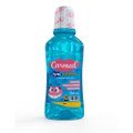 Kit Carmed Gel Dental Fini Dentaduras 70G + Enxaguante Bucal 250Ml