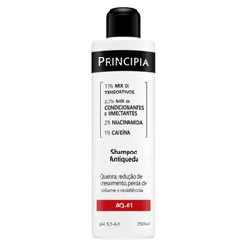 SHAMPOO ANTIQUEDA PRINCIPIA AQ-01 250ML