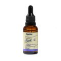 FLORAIS DE BACH SENTIMENTO DESÂNIMO E EXAUSTÃO MOMENTO RELAX PANVEL 30ML