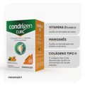 COLÁGENO TIPO II + CÚRCUMA CONDRIGEN CURC 60 CÁPSULAS