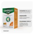 COLÁGENO TIPO 2 + CÚRCUMA CONDRIGEN CURC 60 CÁPSULAS