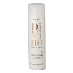 Condicionador Braé Divine Antifrizz 250ml