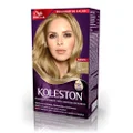TINTURA KOLESTON 81 LOURO CINZA CLARO