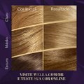 TINTURA KOLESTON 81 LOURO CINZA CLARO
