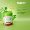 BIOROOTS CRANBERRY PACRAN 470MG 60 CÁPSULAS