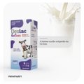 DESLAC LACTASE GOTAS 15ML