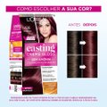 TINTA DE CABELO CASTING CREME GLOSS DE L'ORÉAL PARIS 426 BORGONHA 246G