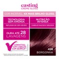 TINTA DE CABELO CASTING CREME GLOSS DE L'ORÉAL PARIS 426 BORGONHA 246G