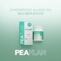 SUPLEMENTO ALIMENTAR PEAFLAN PEA 300MG COM 30 COMPRIMIDOS