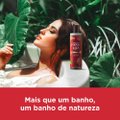 SABONETE LÍQUIDO CORPORAL LUX ESSÊNCIAS DO BRASIL BROMÉLIA 300ML