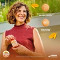 SUPLEMENTO ALIMENTAR SUNDOWN VITAMINA C 500MG 100 COMPRIMIDOS