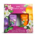 KIT PANVEL CREME PARA MÃOS AMEIXA E MANDARINA 2 UNIDADES 30G CADA