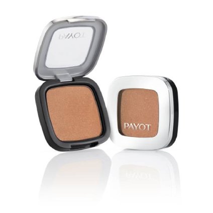 BLUSH RETINOL PAYOT TERRACOTA 6G