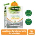 TAMARINE FIBRAS MAX EM PÓ SABOR LARANJA 10 SACHÊS DE 6,5G CADA