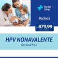 Vacina Hpv Nonavalente Gardasil Msd
