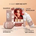 TINTURA LOREAL PARIS EXCELLENCE SEM AMÔNIA 6646 