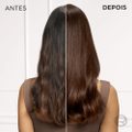 TINTURA LOREAL PARIS EXCELLENCE SEM AMÔNIA 6646 