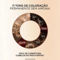 TINTURA LOREAL PARIS EXCELLENCE SEM AMÔNIA 6646 