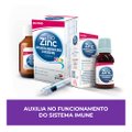 SUPLEMENTO ALIMENTAR INFANTIL BIOZINC ZINCO 10MG/ML GOTAS 15ML